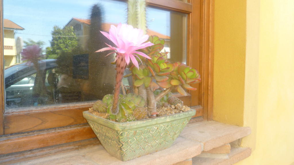 Le Ginestre B & B มาสซาโรซา ภายนอก รูปภาพ