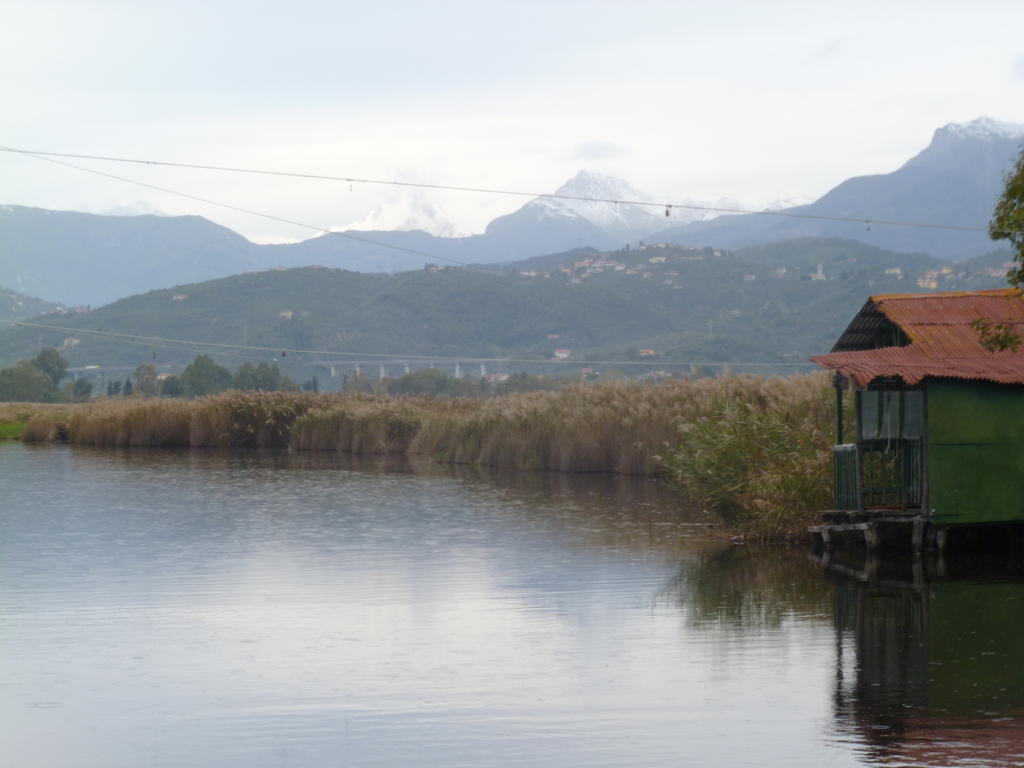 Le Ginestre B & B มาสซาโรซา ภายนอก รูปภาพ